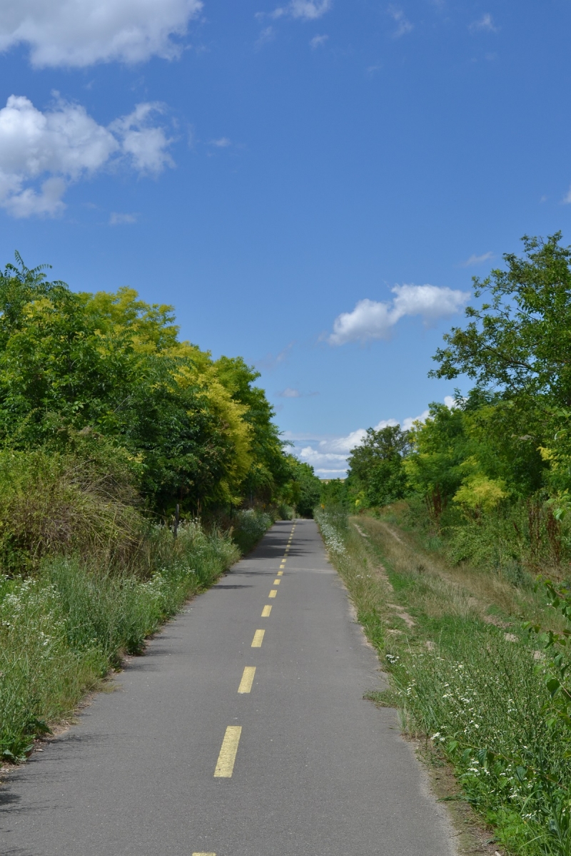 Ciclovia – Tamási