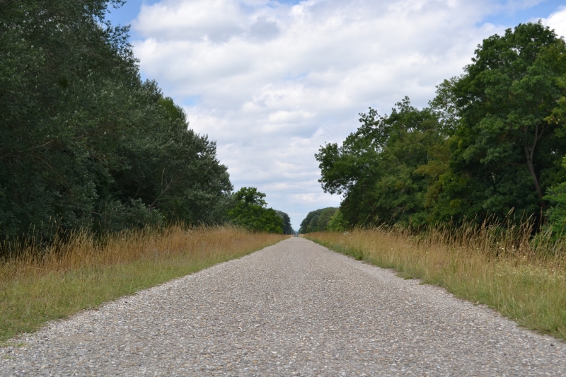 Route vers Vienne III