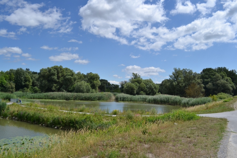 Route vers Vienne IV
