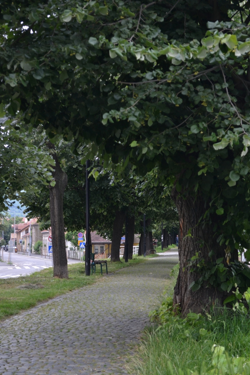 Pirot II