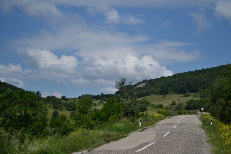 Road 427