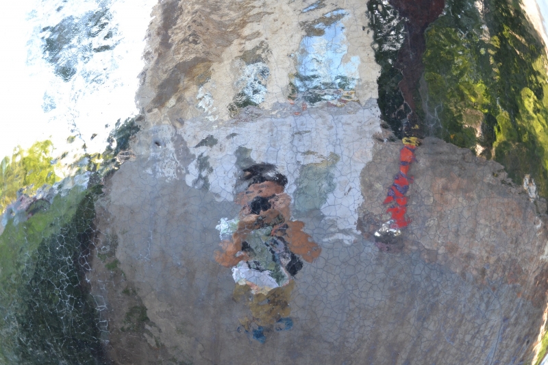 Selfie