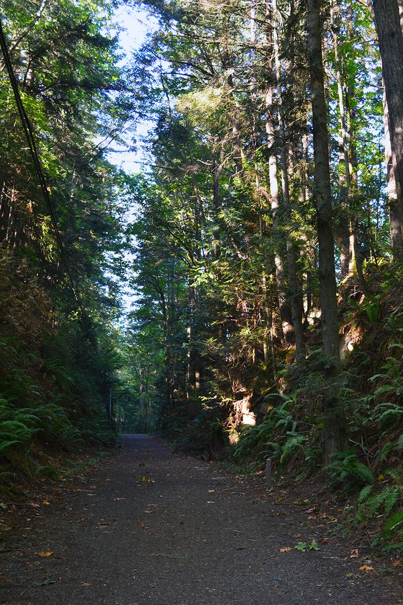 Bellingham – WA