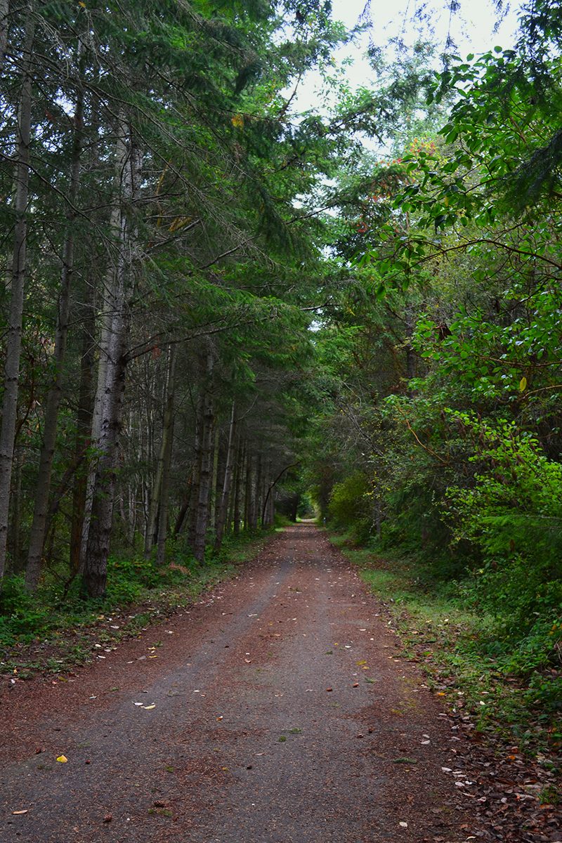 Port Townsend – Larry Scott Trail