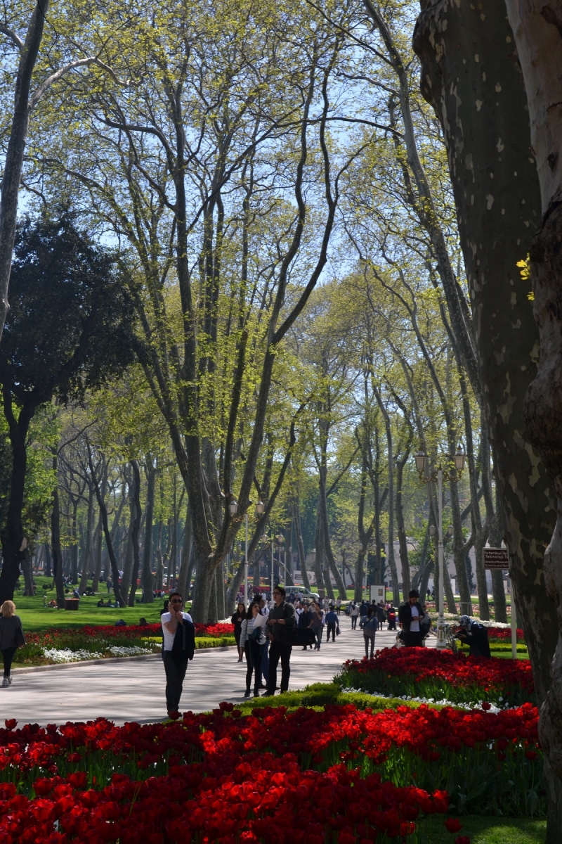 Gülhane park