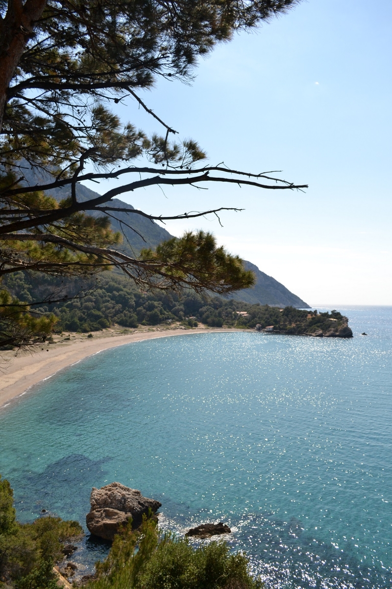 Samos V