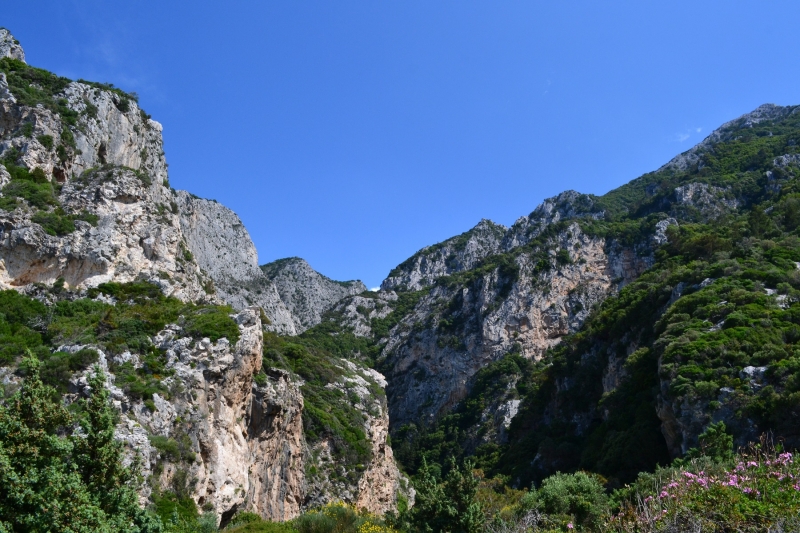 Samos VII