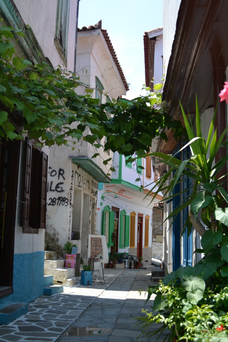 Samos – Vourliotes III