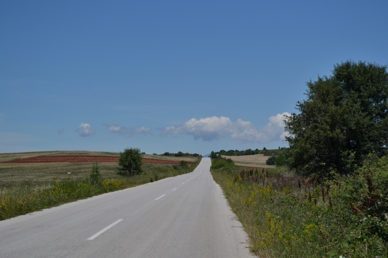 Vers le nord