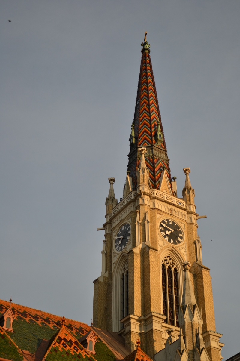Novi Sad X