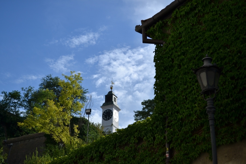 Novi Sad III