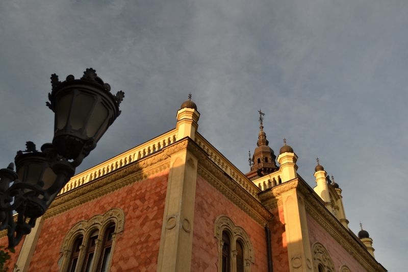 Novi Sad VII