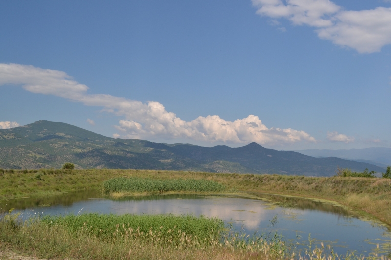 Sandanski IV
