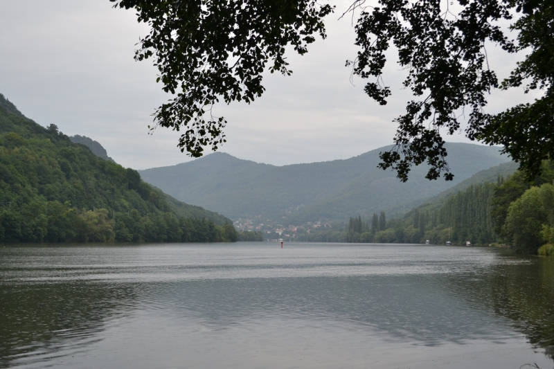 Elbe