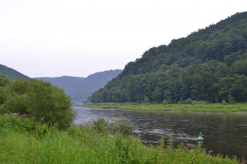 Elbe III
