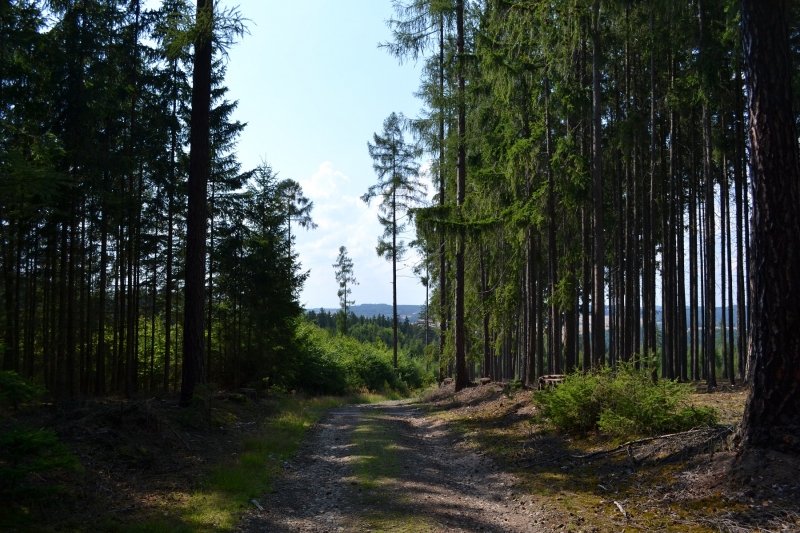 Route vers Benešov