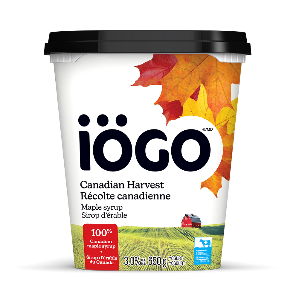 3041045_650G_MAPLE_SYRUP_3D 650g - Récolte canadienne - Sirop d'érable