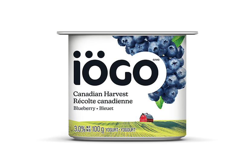 100G_CH_Blueberry_3D Cup - 100g - Bleuet